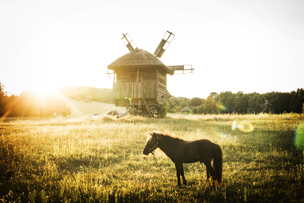 shutterstock 748273744