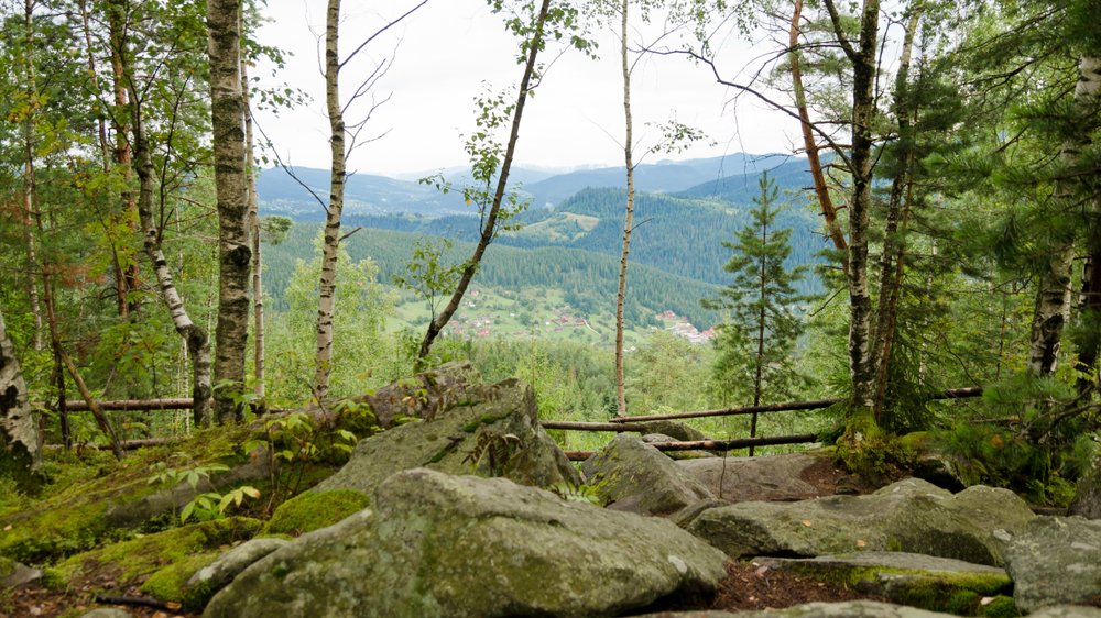 dovbush