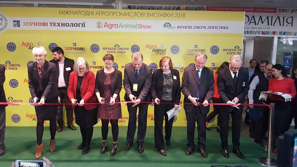grand opening