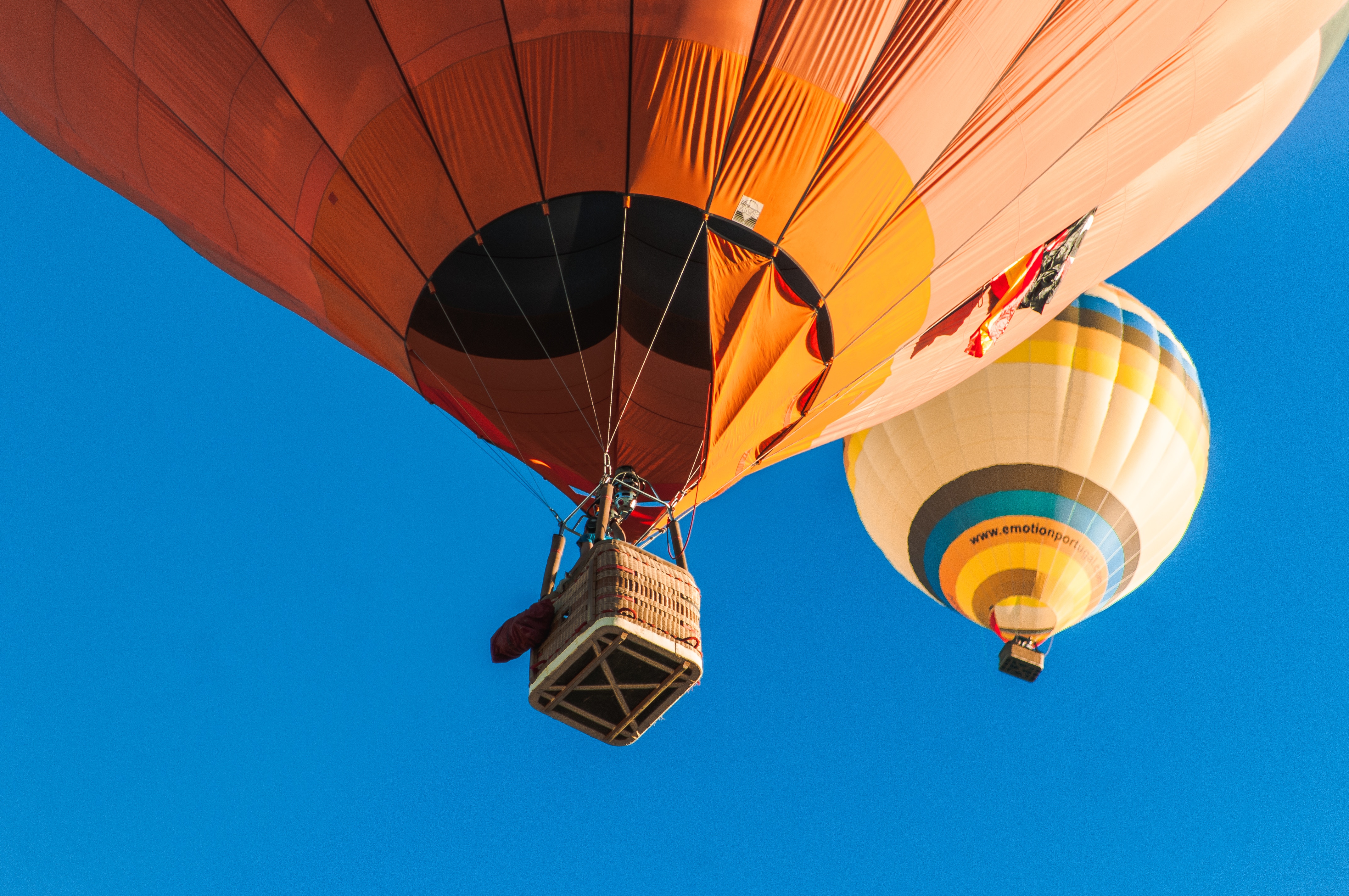 ricardo rocha 639778 unsplash