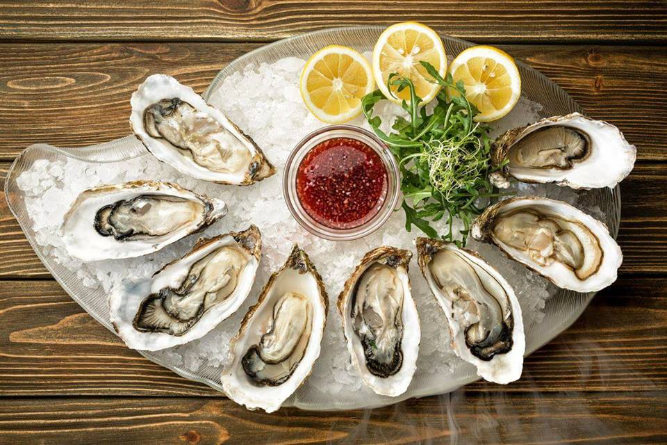 oysters