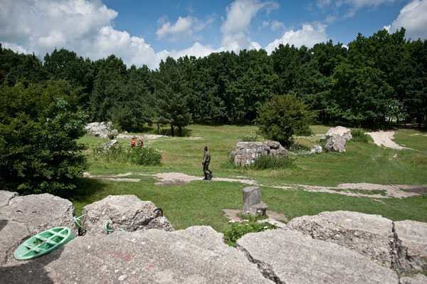 green park with stones
