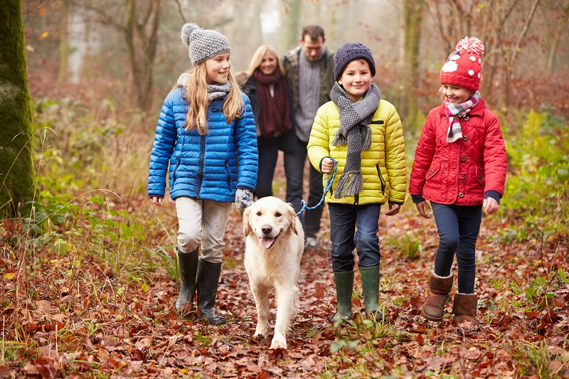 family hike family walking dog fall hike autumn woods