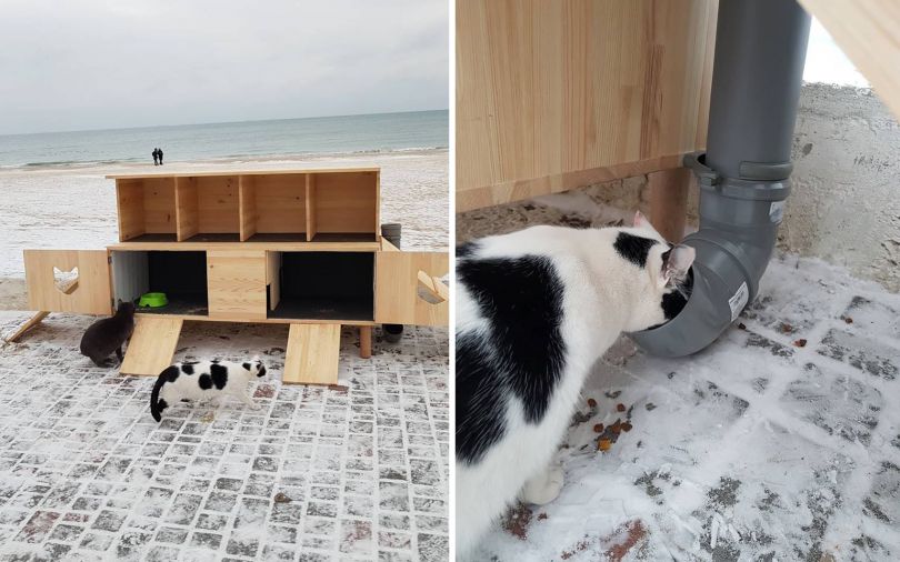Cat house outside