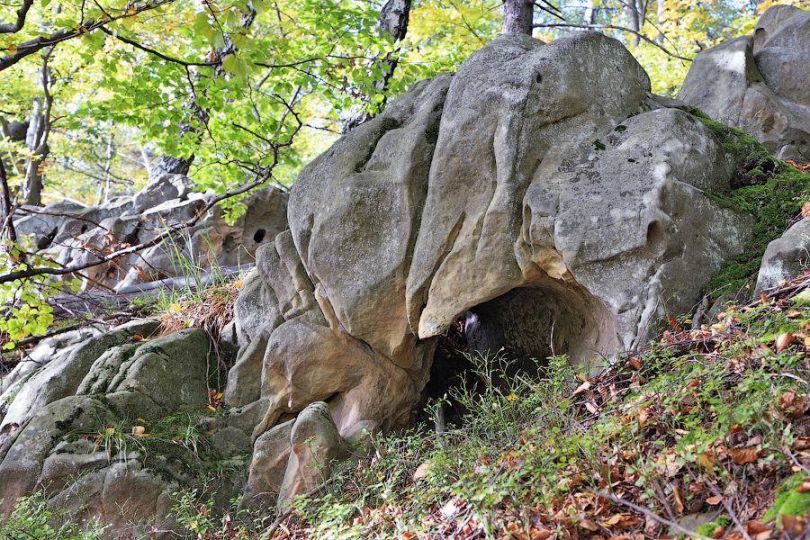 stones in wood