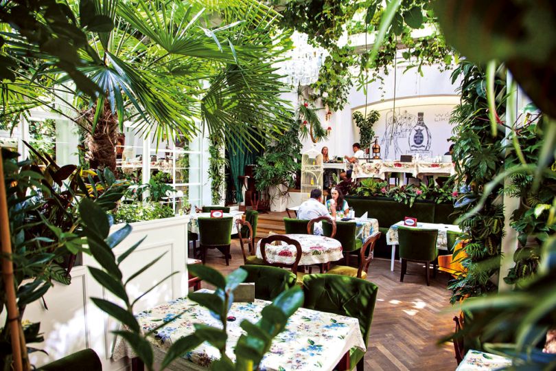 Restaurant with a lot of plants