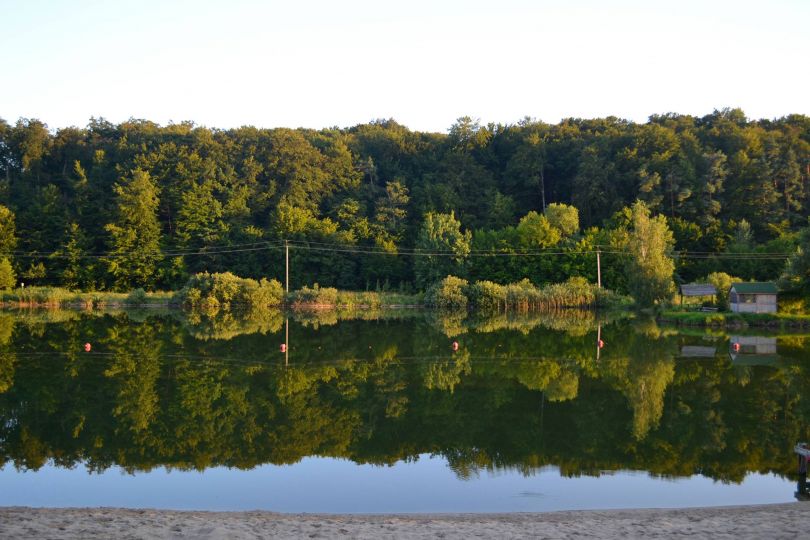 forest and lake