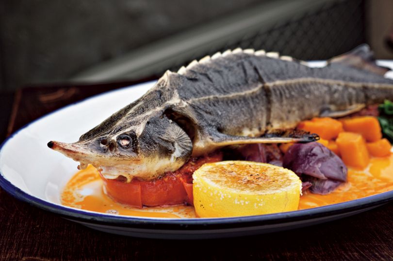 Fish dish