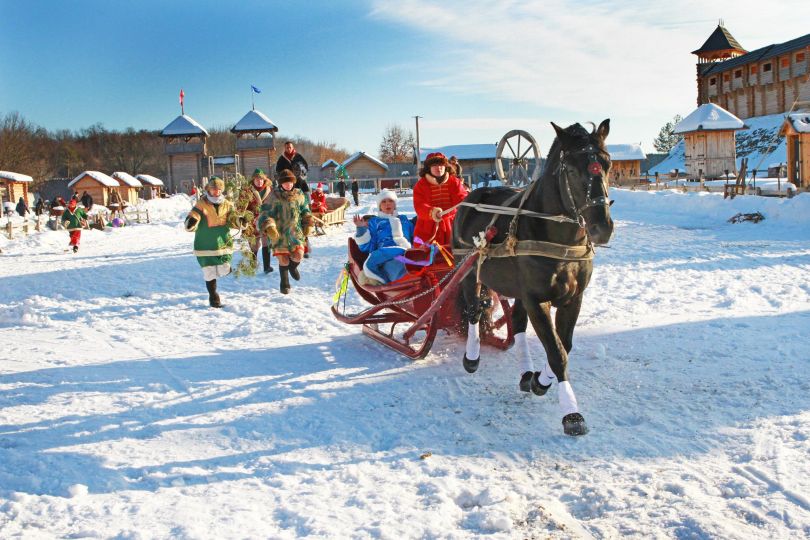 people on sledge ridden by horse