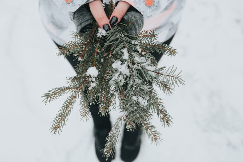 winter