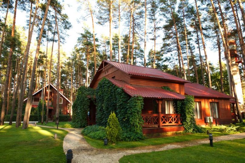 Cabin in the woods near Kyiv