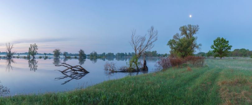 Pretty sight at Desna