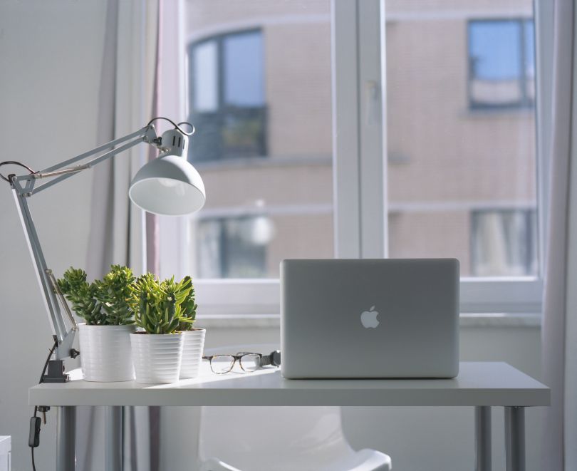 Macbook and plants on the table