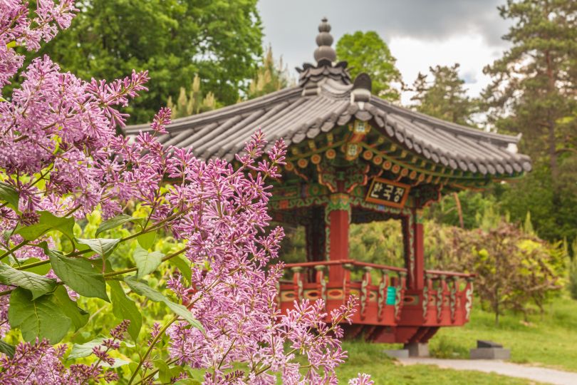 Korean gazebo in a park